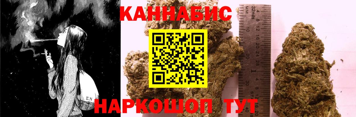 Конопля сатива Ирбит
